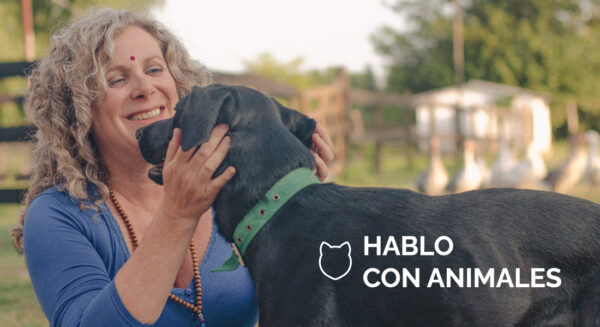 Hablo con animales