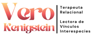 Logo Vero 2026 rojito