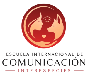 Logo Escuela 2026 fondo blanco
